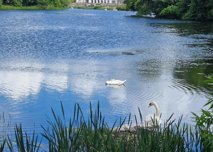 果岭住宿加早餐旅馆 住宿加早餐酒店 4*