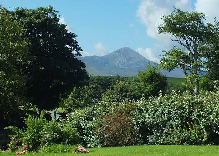 果岭住宿加早餐旅馆 住宿加早餐酒店